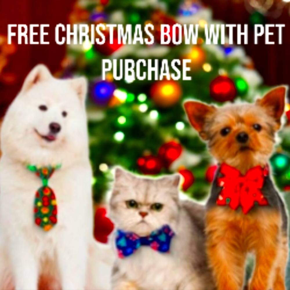 CHRISTMAS BOWS - FREE WITH PET PURCHASE